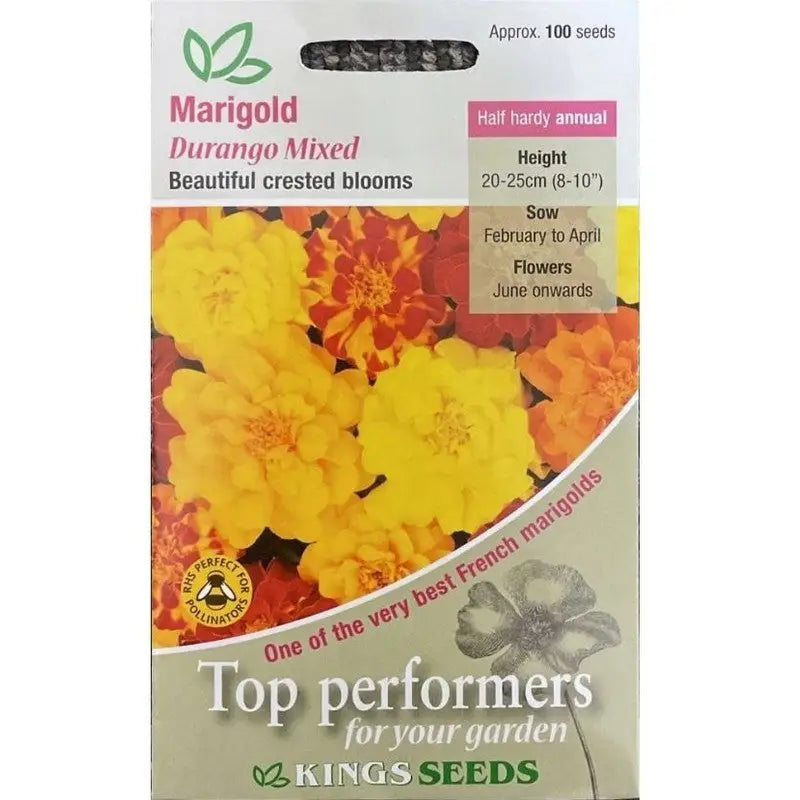 Kings Seeds Flowers Range of Growing Seeds - Marigold