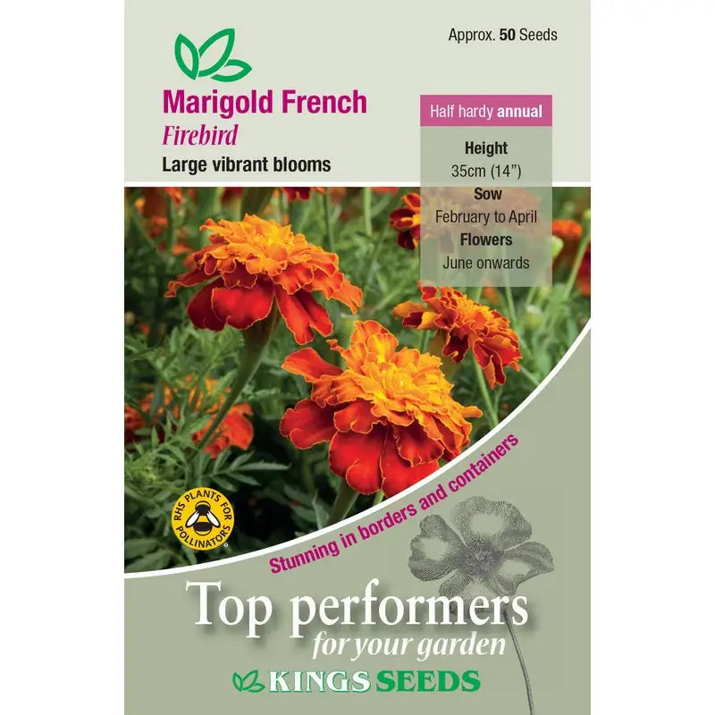 Kings Seeds Flowers Range of Growing Seeds - Marigold French