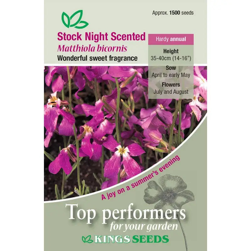 Kings Seeds Flowers Range of Growing Seeds - Stock Night