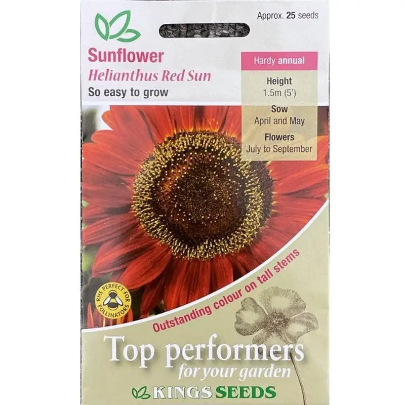 Kings Seeds Flowers Range of Growing Seeds - Sunflower Red