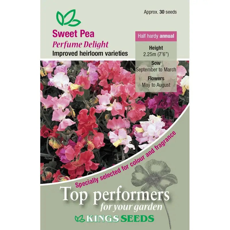 Kings Seeds Flowers Range of Growing Seeds - Sweet Pea