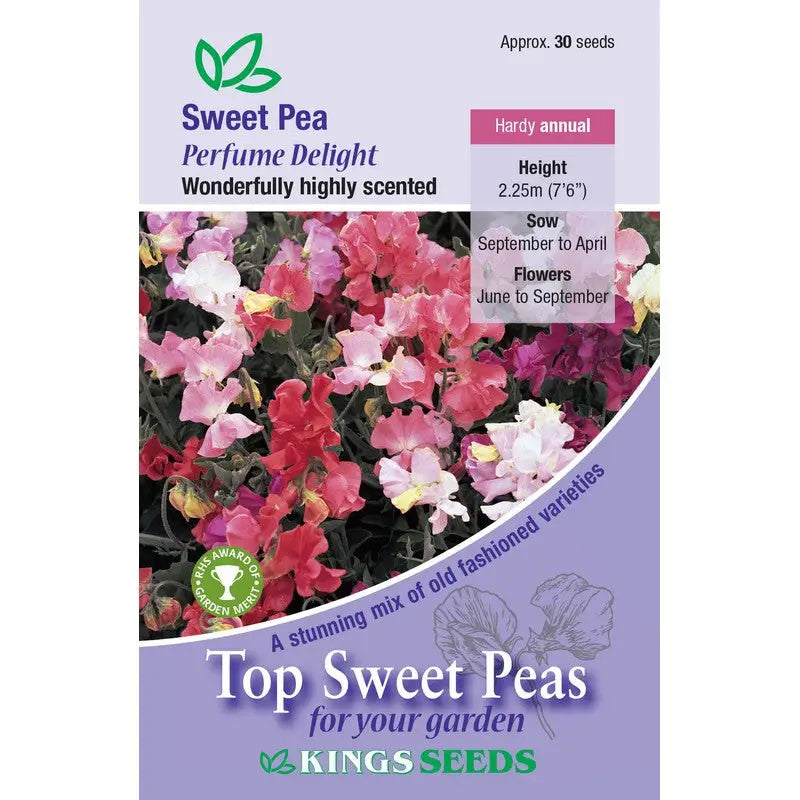 Kings Seeds Flowers Range of Growing Seeds - Sweet Pea