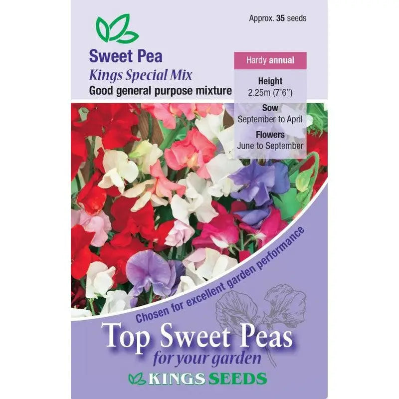 Kings Seeds Flowers Range of Growing Seeds - Sweet Pea