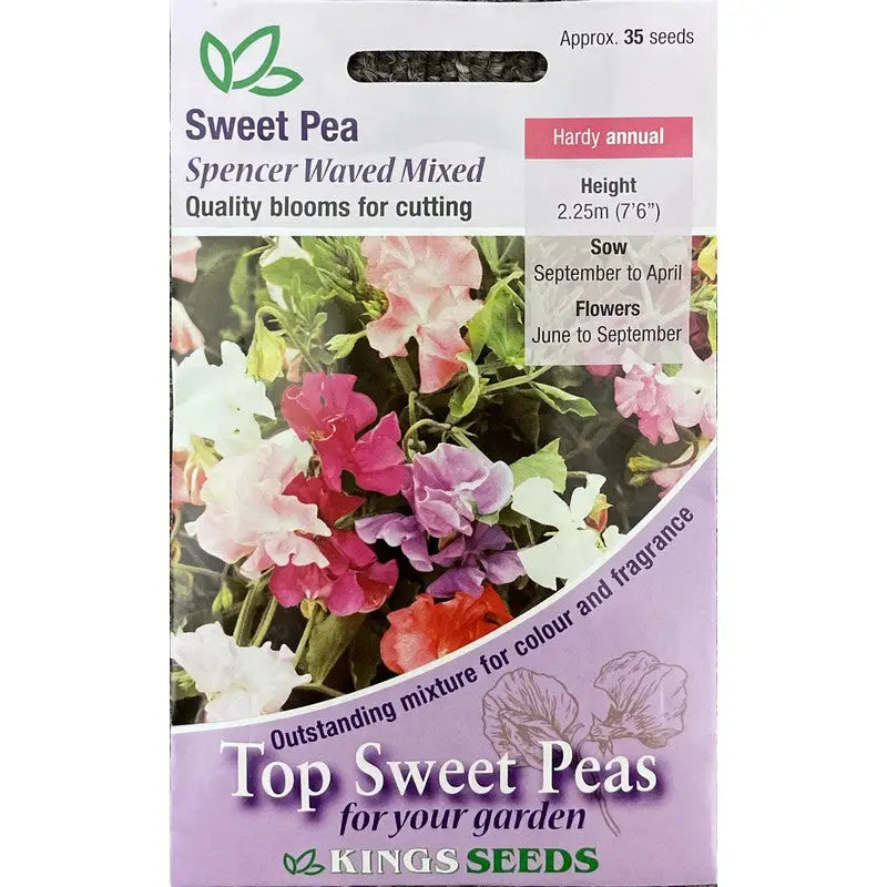 Kings Seeds Flowers Range of Growing Seeds - Sweet Pea Kings