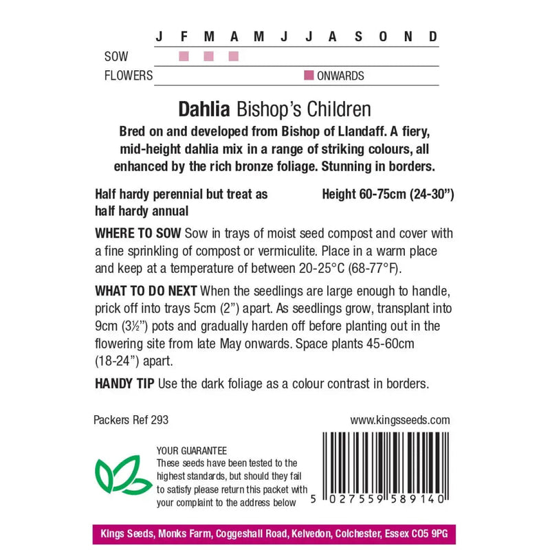 Kings Seeds Flowers Range of Growing Seeds - Seeds