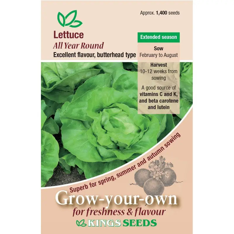 Kings Seeds Peas / Lettuce / Tomato and Beans Growing Seeds