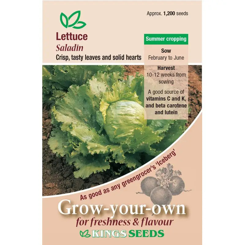 Kings Seeds Peas / Lettuce / Tomato and Beans Growing Seeds