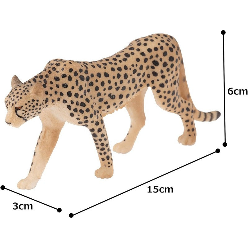 Animal Planet Male Cheetah