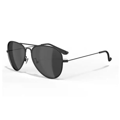 Leech ATW1 Black Smoke Sunglasses - Sunglasses
