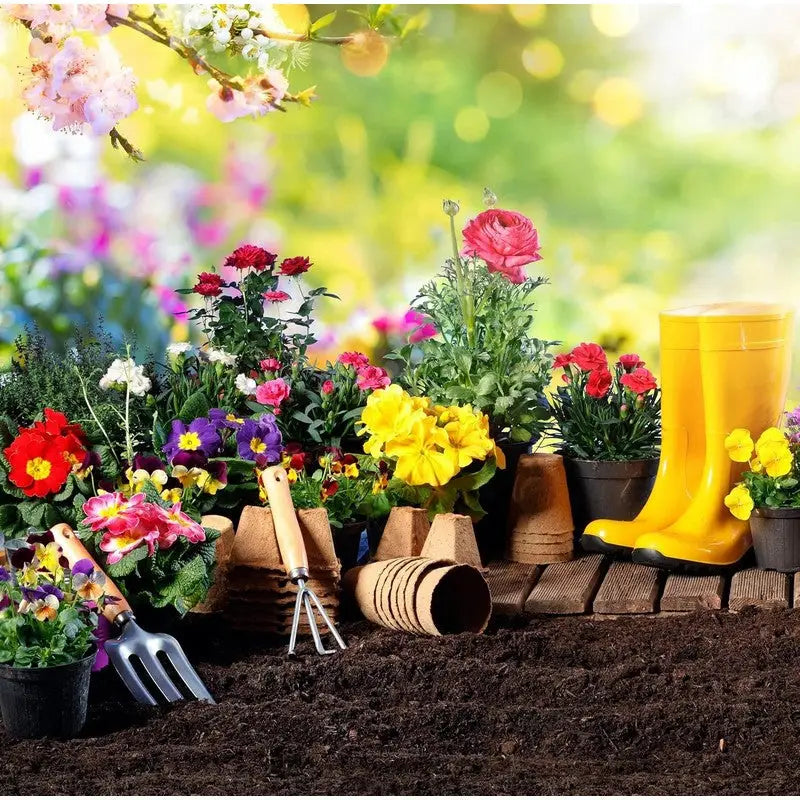 Levington Fish Blood & Bone All Purpose Plant Food 1.5KG