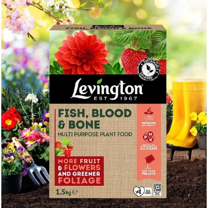 Levington Fish Blood & Bone All Purpose Plant Food 1.5KG