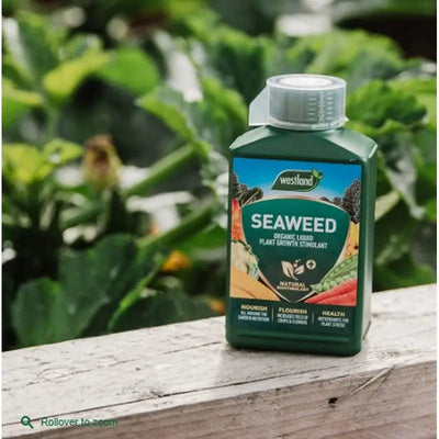 Levington Seaweed Tonic - 800Ml - Gardening & Outdoors
