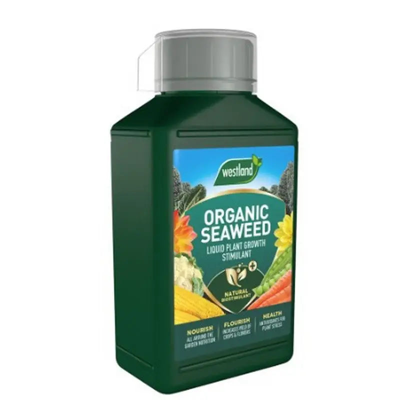 Levington Seaweed Tonic - 800Ml - Gardening & Outdoors