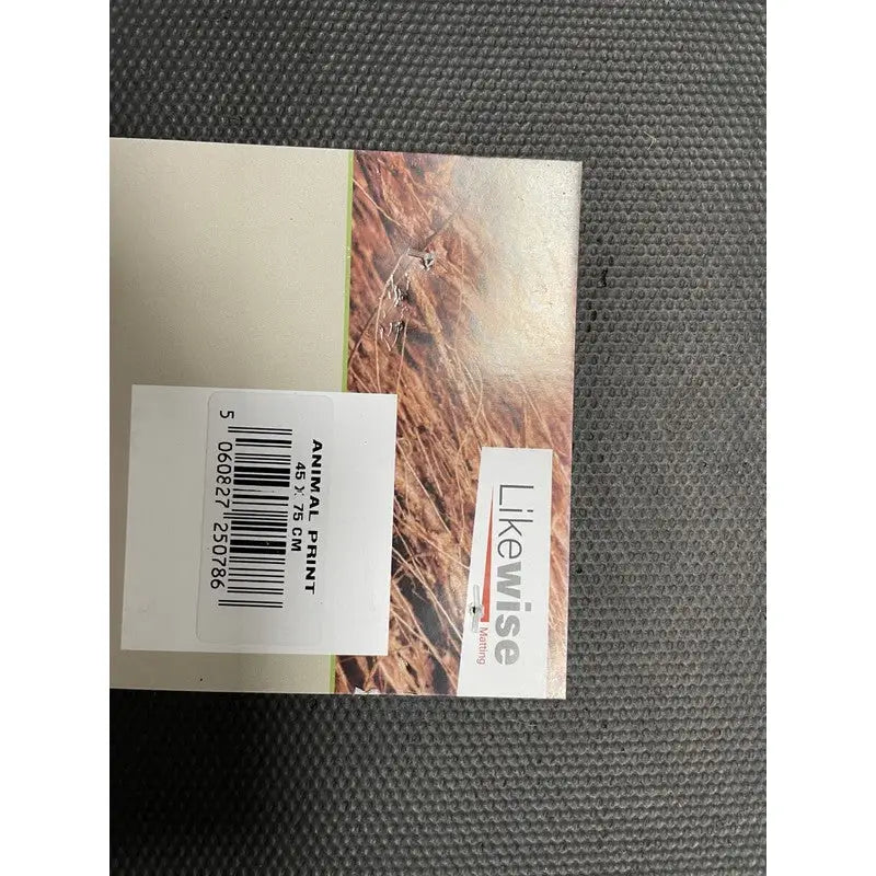 Likewise Gainsbourgh Coir Welcome Paw Print Door Mat -