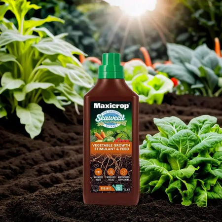 Maxicrop Extract Of Seaweed Plus Organic Garden Natural