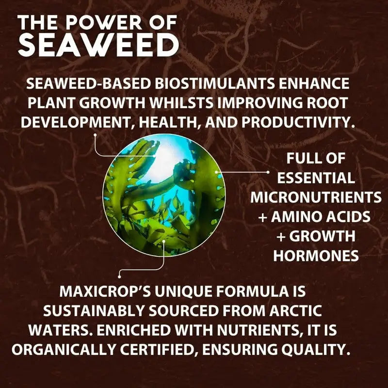 Maxicrop Extract Of Seaweed Plus Organic Garden Natural