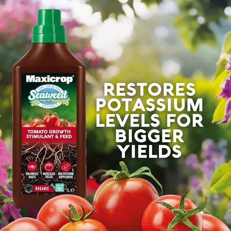 Maxicrop Extract Of Seaweed Plus Organic Tomato Natural