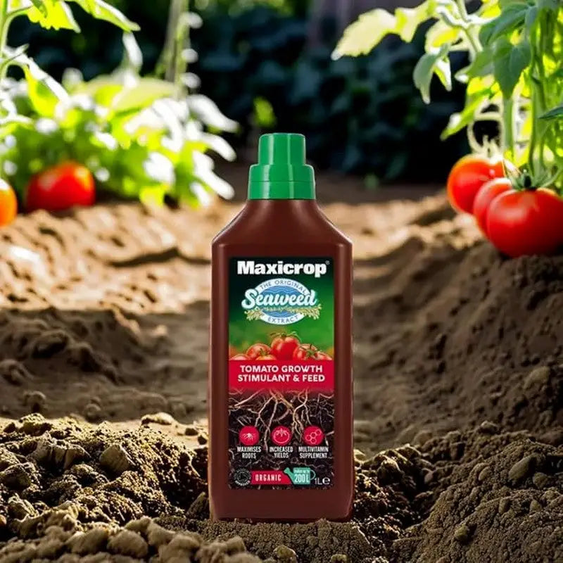 Maxicrop Extract Of Seaweed Plus Organic Tomato Natural