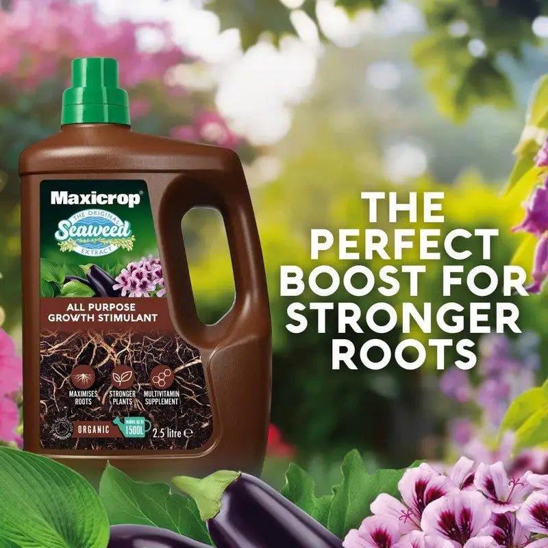 Maxicrop Plant Growth Stimulant 2.5 Litre - Gardening &