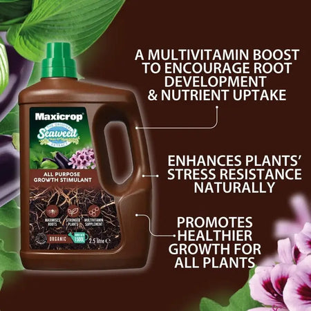 Maxicrop Plant Growth Stimulant 2.5 Litre - Gardening &