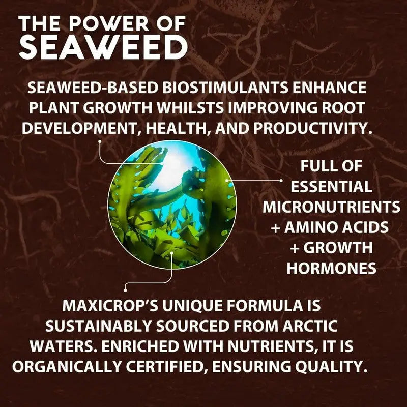 Maxicrop Seaweed Extract Plant Growth Stimulant - 1 Litre