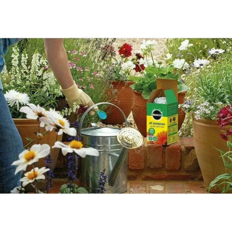 Miracle-Gro All Purpose Soluble Plant Food 1kg Plus 20%