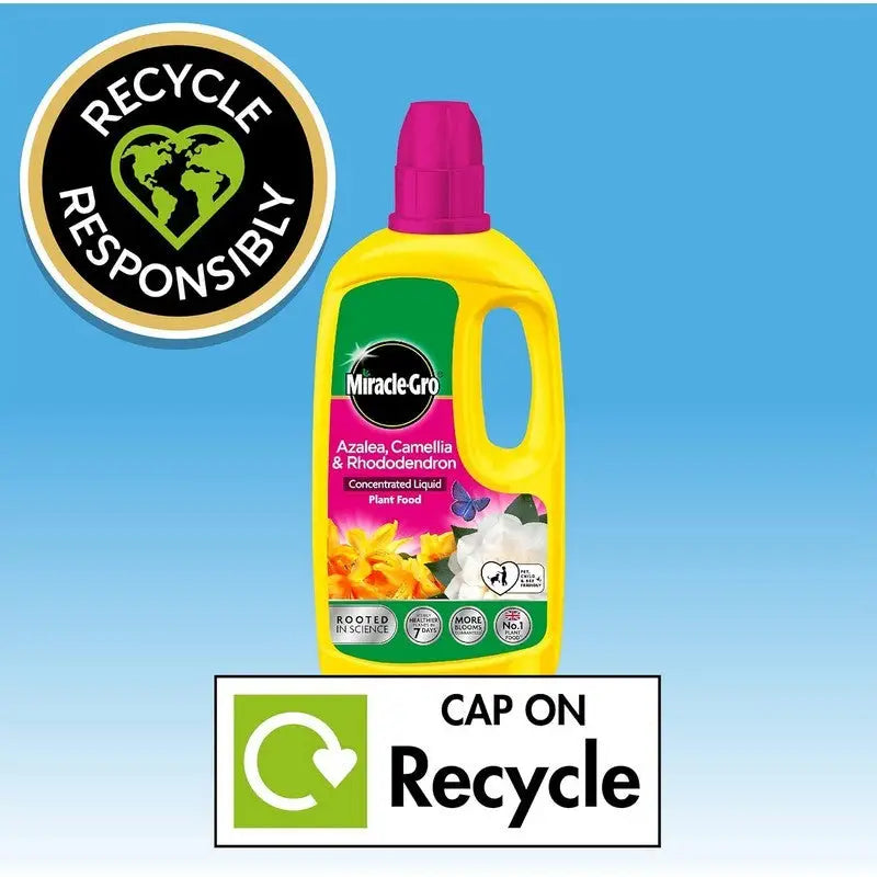 Miracle-Gro Azalea Camellia & Rhododendron Concentrated