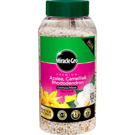 Miracle-Gro Azalea Camellia & Rhododendron Continuous