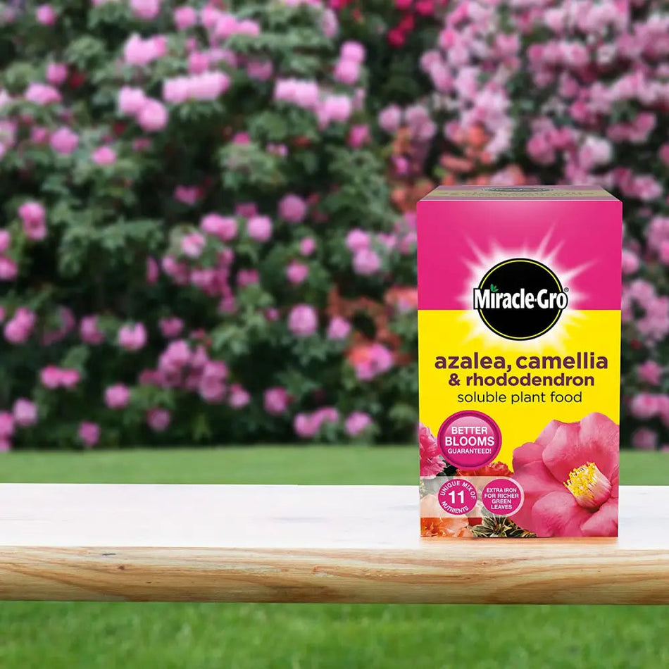 Miracle Gro Azalea Camellia & Rhododendron Soluble Plant