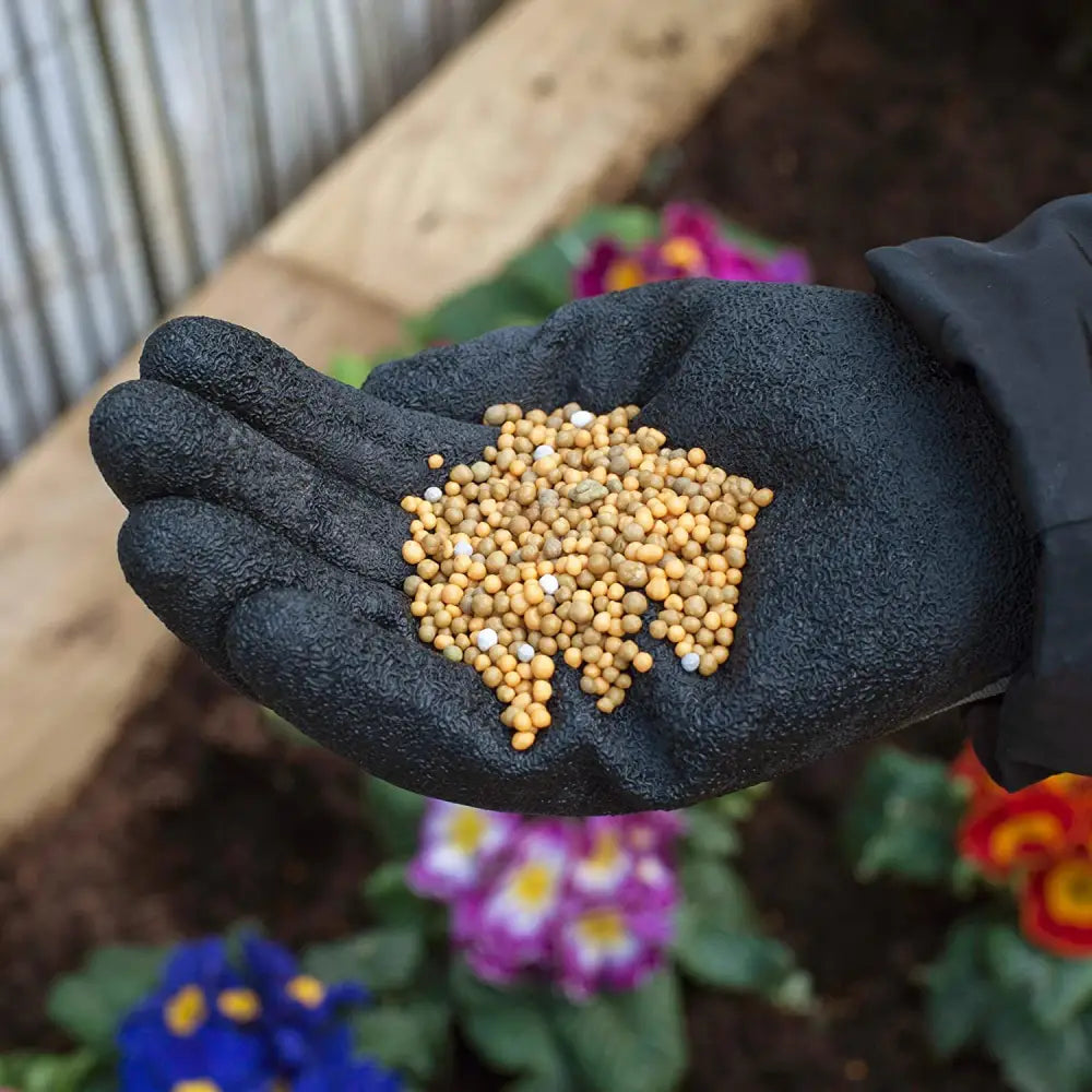 Miracle-Gro Continuous Release Plant Food 2Kg