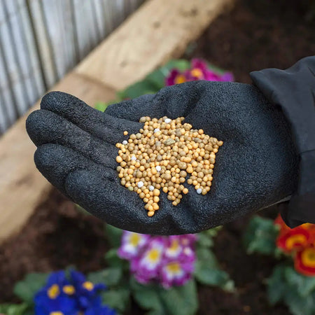 Miracle-Gro Continuous Release Plant Food 2Kg