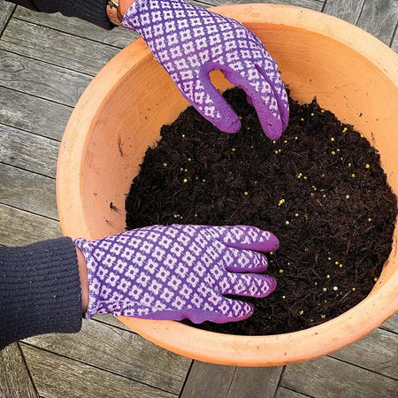 Miracle-Gro Continuous Release Plant Food 2Kg