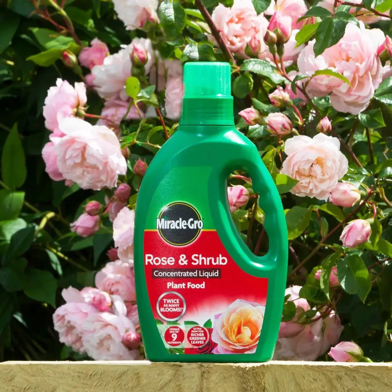 Miracle-Gro Rose & Shrub Liquid Plant Food 1Ltr