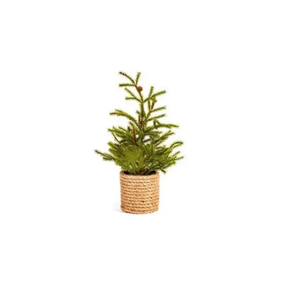 Natural Table Top Tree 28cm Seasonal >> Christmas >> Trees