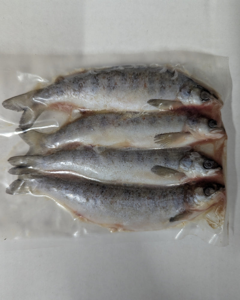 Frozen / Dead Bait - Salmon Smolt (Size & Quantity varies according to availability)