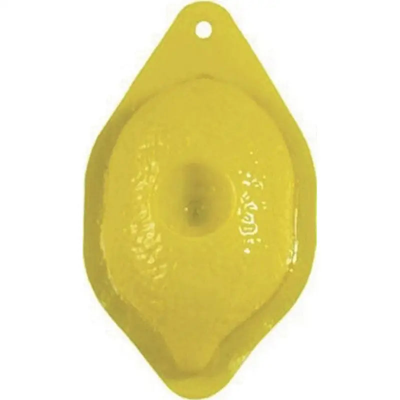 Pest Stop Pest Stop Fruit Fly Trap - Single Trap - Pest