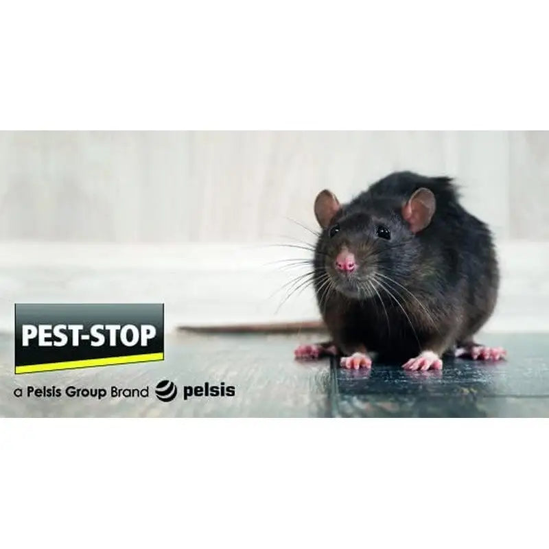 Pest Stop Little Nipper Wooden Rat Trap - Pest Control