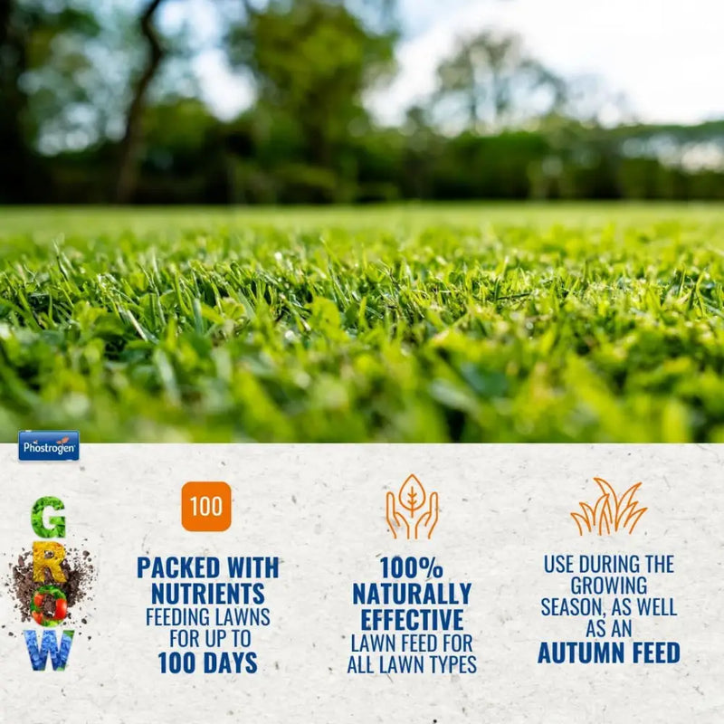 Phostrogen Lawn Feed 88sqm - Gardening & Outdoors >> Plant