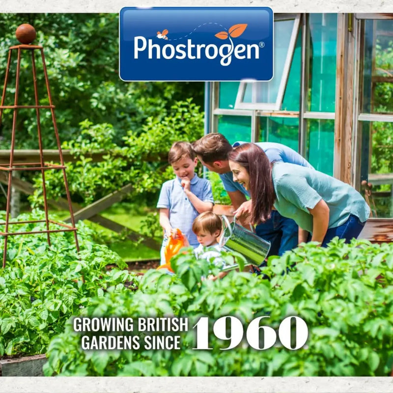 Phostrogen Lawn Feed 88sqm - Gardening & Outdoors >> Plant