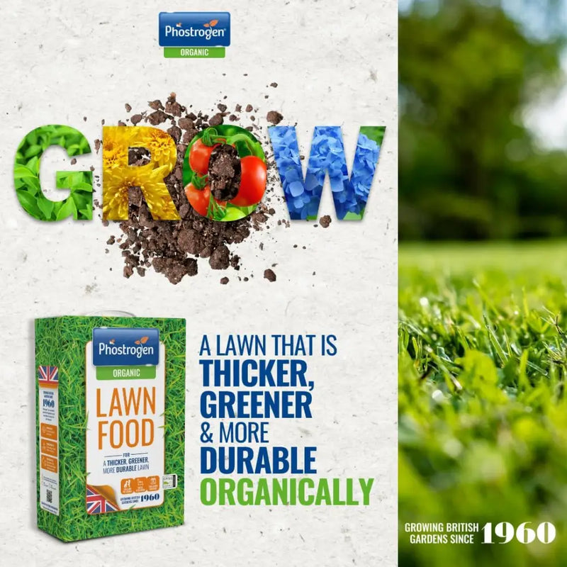 Phostrogen Lawn Feed 88sqm - Gardening & Outdoors >> Plant