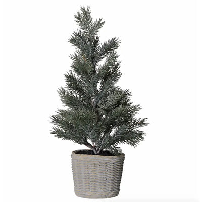 Pine Tree In Clay Pot Seasonal >> Christmas >> Trees
