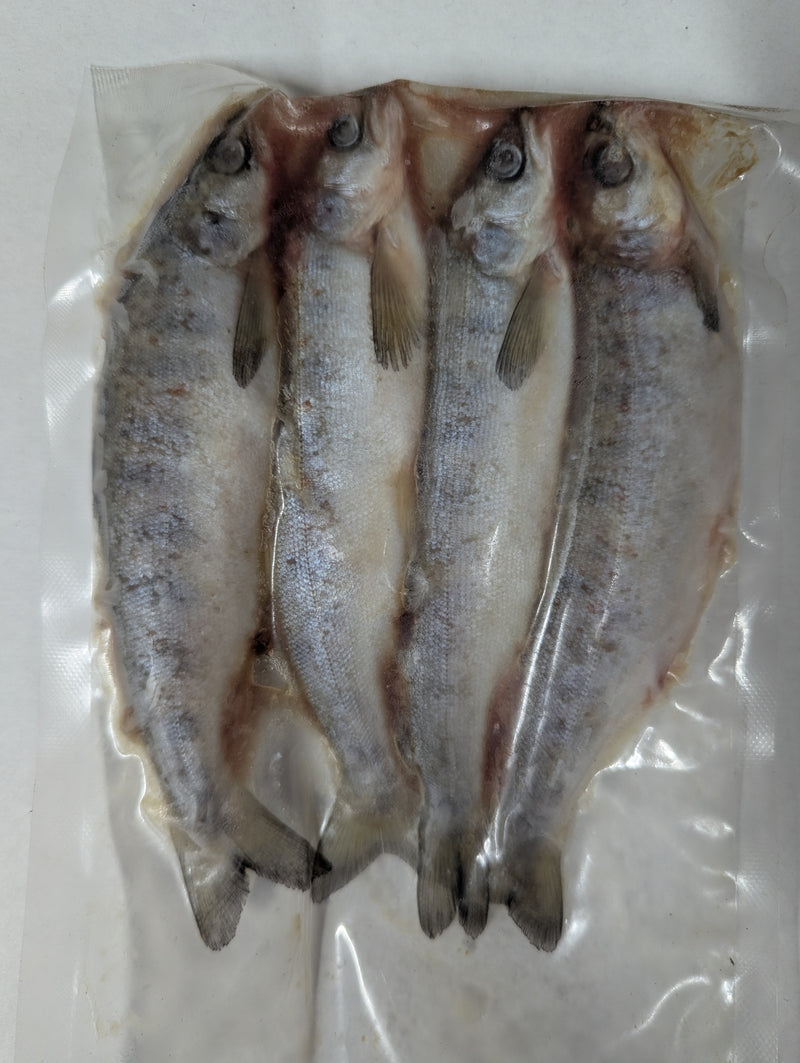 Frozen / Dead Bait - Salmon Smolt (Size & Quantity varies according to availability)