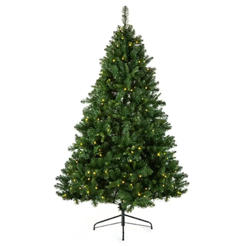 Pre-Lit Oregon Pine Tree 2.1m / 7ft - Seasonal >> Christmas