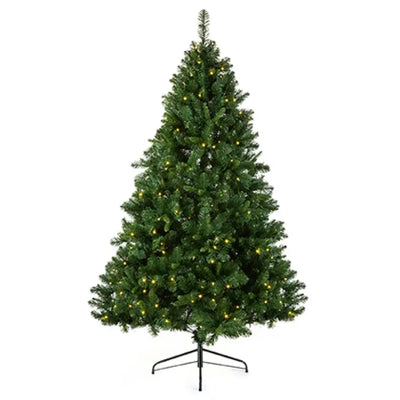 Pre-Lit Oregon Pine Tree 2.1m / 7ft - Seasonal >> Christmas