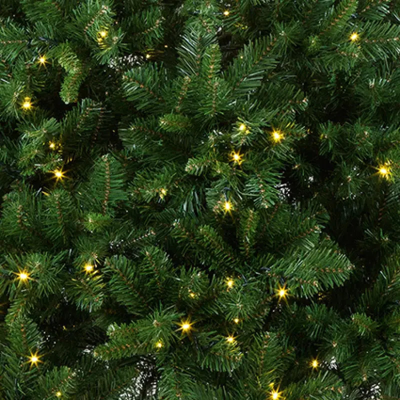 Pre-Lit Oregon Pine Tree 2.1m / 7ft - Seasonal >> Christmas