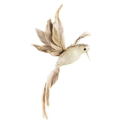 Premier Champagne Gold Humming Bird Clip On 23cm - Christmas