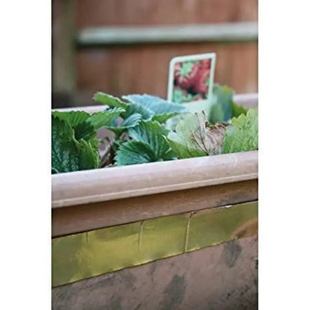 Rentokil Slug & Snail Barrier Tape - 4 Meters - Pest Control