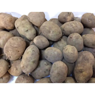 Seed Potatoes Grow Your Own - British Queens - 3.6kg - Plant