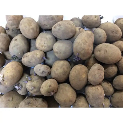Seed Potatoes Grow Your Own - Home Guard - 3.6kg Approx -
