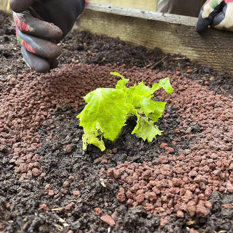 SlugClear & Snail Barrier 2.5kg - Gardening & Outdoors